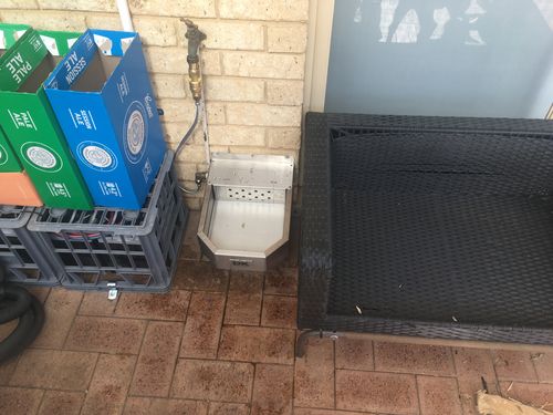 Customer photo review of Pet Rehydration Station
