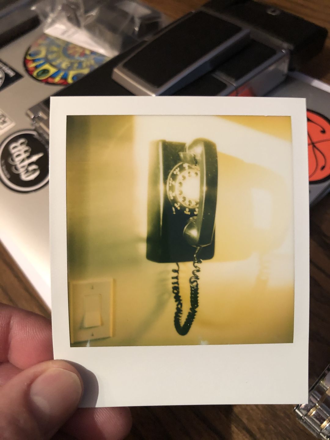 Customer photo review of Polaroid Color 600 Instant Film - Five Pack