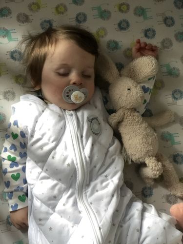 Customer photo review of Dream Weighted Sack, 12-24 mo.