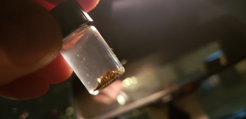 Customer photo review of *BOGO*: MAMMOTH 'TROY OUNCE NUGGET HUNT' Gold Paydirt - Gold Paydirt Concentrate