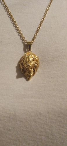 Customer photo review of Lion (Gold)