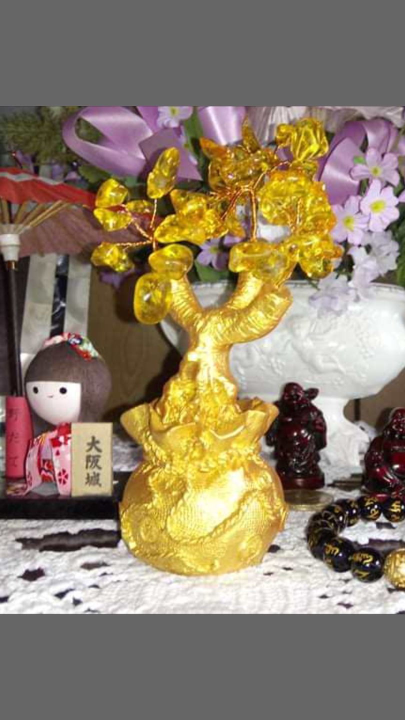 Customer photo review of Feng Shui Citrine Money Tree Wealth Ornaments