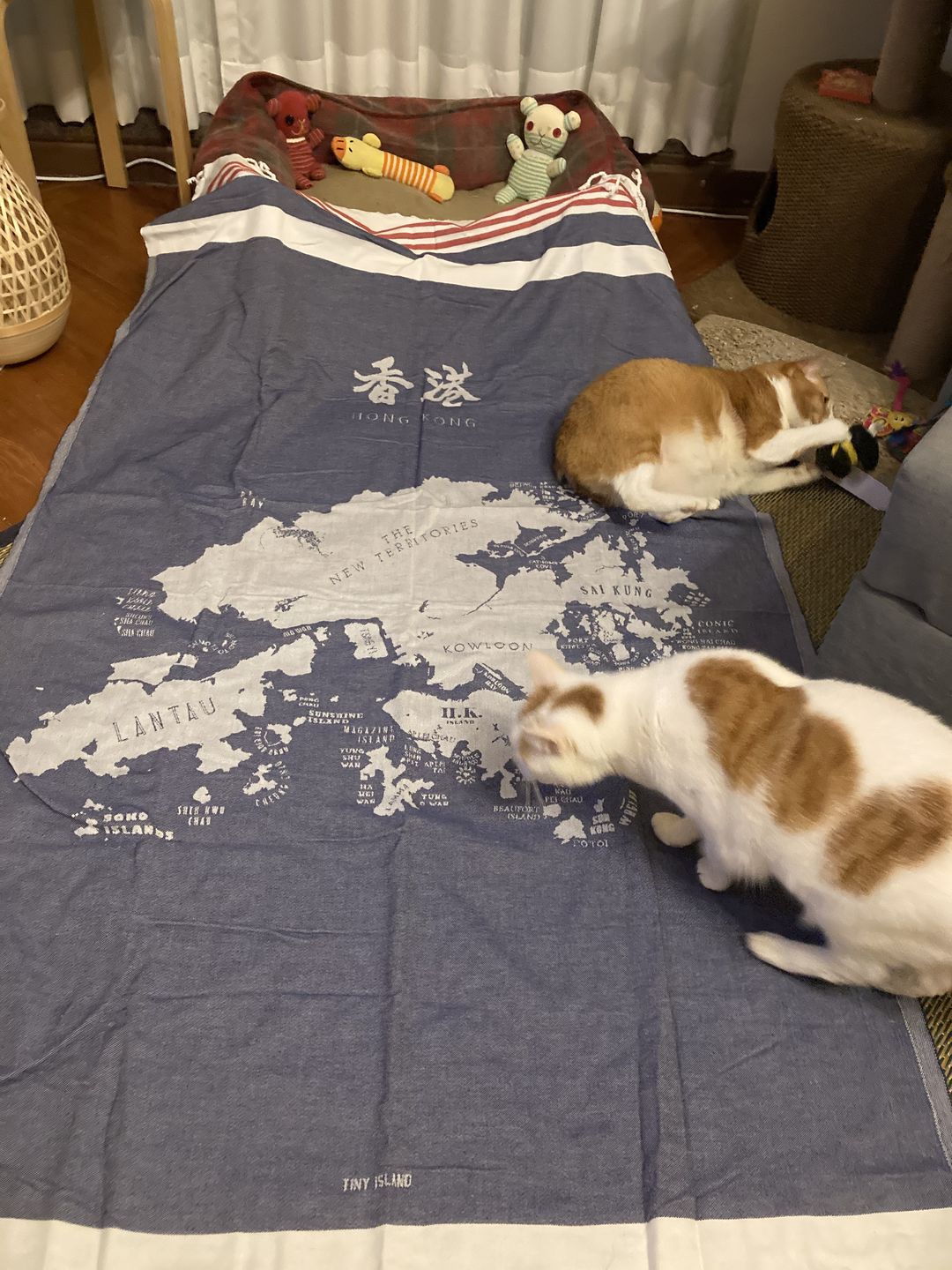 Customer photo review of Hong Kong Towel