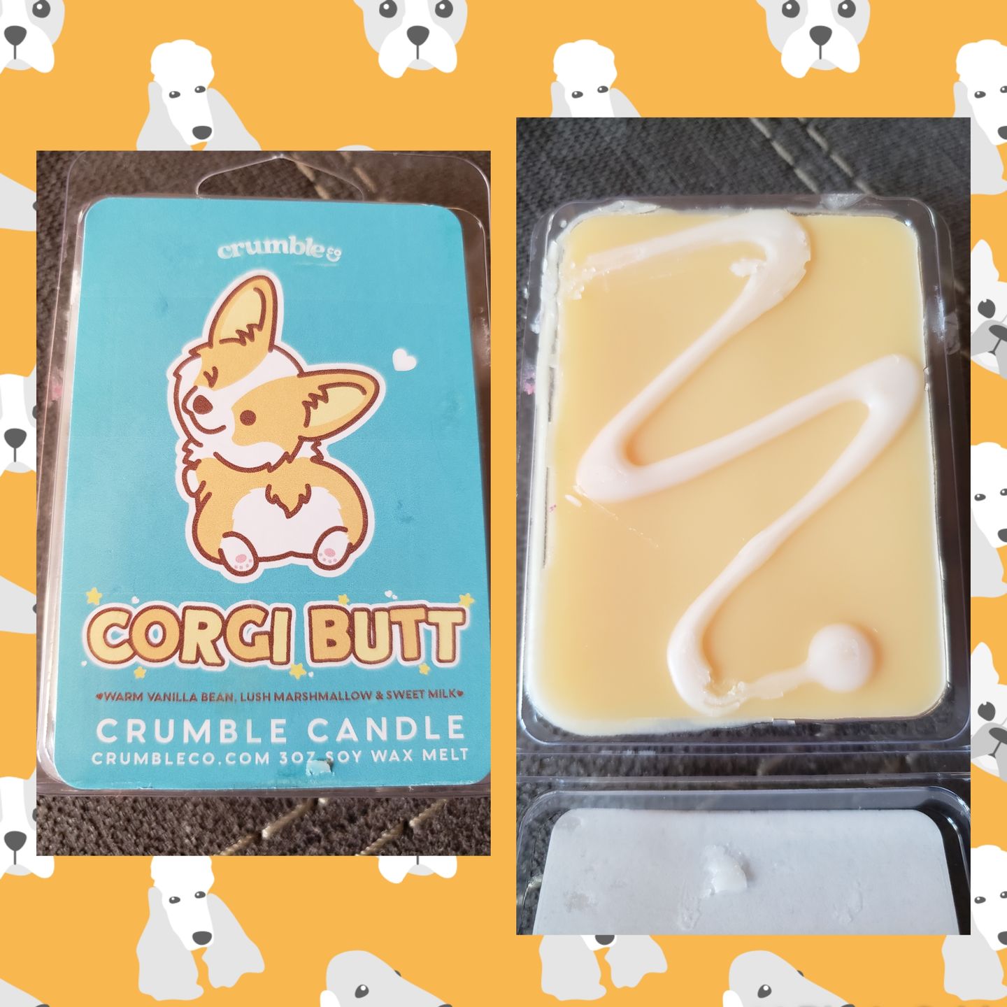 Customer photo review of Corgi Butt Wax Melts