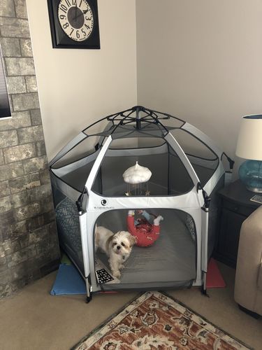 Customer photo review of Pop N' Go® Playpen