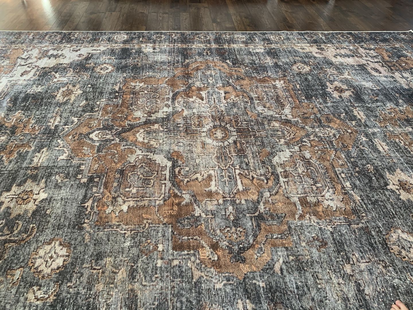 Customer photo review of Distressed Vintage Cezanne Rabbit Gray Inca Gold Area Rug