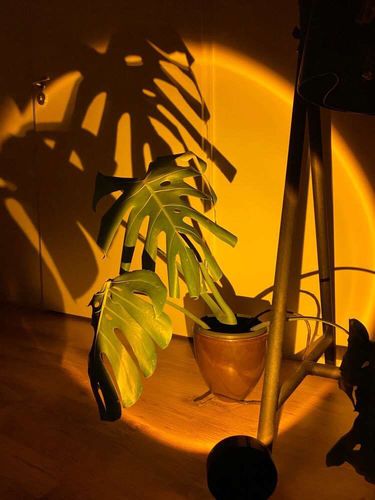 Customer photo review of Vespani Sunset Projector