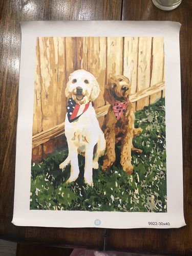 Customer photo review of Custom Paint By Numbers Kit - Upload Your Photo - Brush Set Included