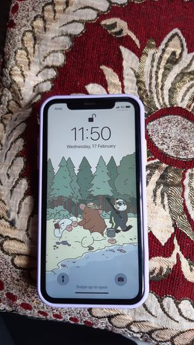 Customer photo review of Camera Protection Bumper Case
