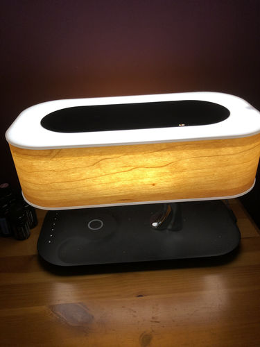 Wild Lamp Reviews 264 Www Wildlamp Com 