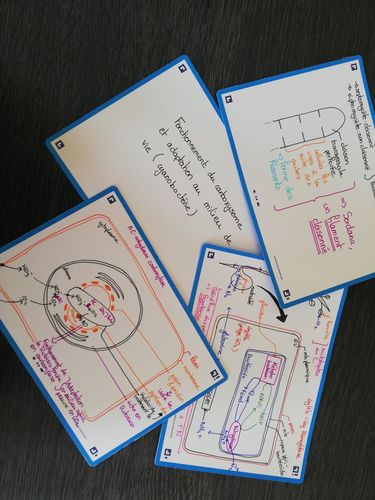Avis photo d'un client sur Flashcards FLASH 2.0 OXFORD # 80 cartes 10,5 x 14,8 cm - uni blanc