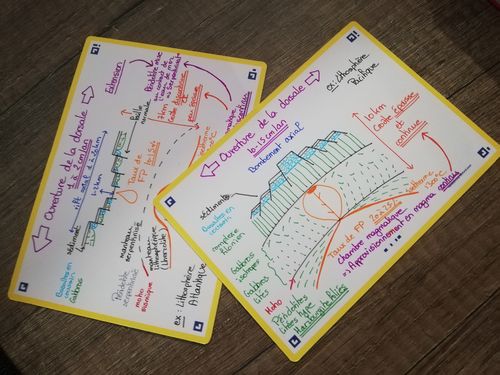 Avis photo d'un client sur Flashcards FLASH 2.0 OXFORD # 80 cartes 10,5 x 14,8 cm - uni blanc
