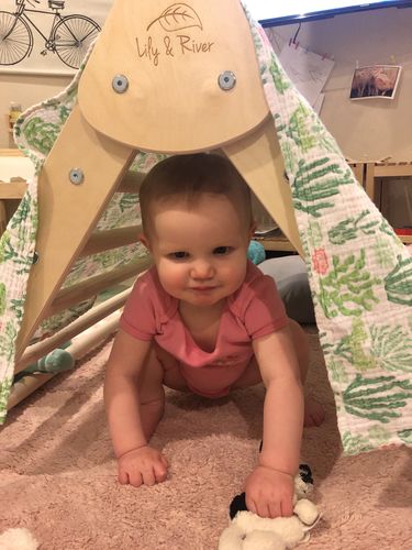 Customer photo review of Little Climber