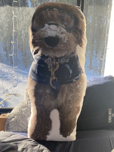 Customer photo review of Create A Custom Dog Pillow