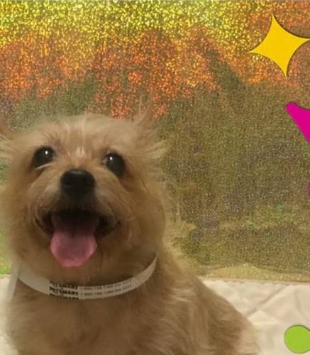 Customer photo review of Life is better - Personalized custom unisex classic T-shirt