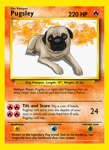 Customer photo review of Pokepet