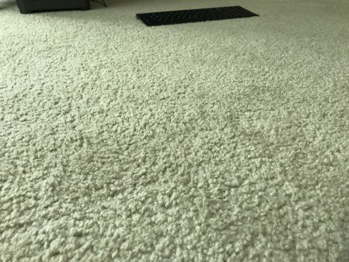 Customer photo review of The Flo Mattress Ergo