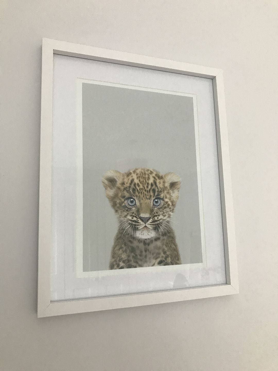 Customer photo review of Leopard Cub Print