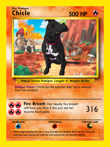 Customer photo review of Pokepet