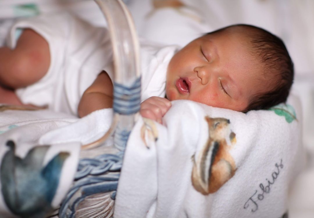 Customer photo review of Woodland Animals Personalized Baby Blanket