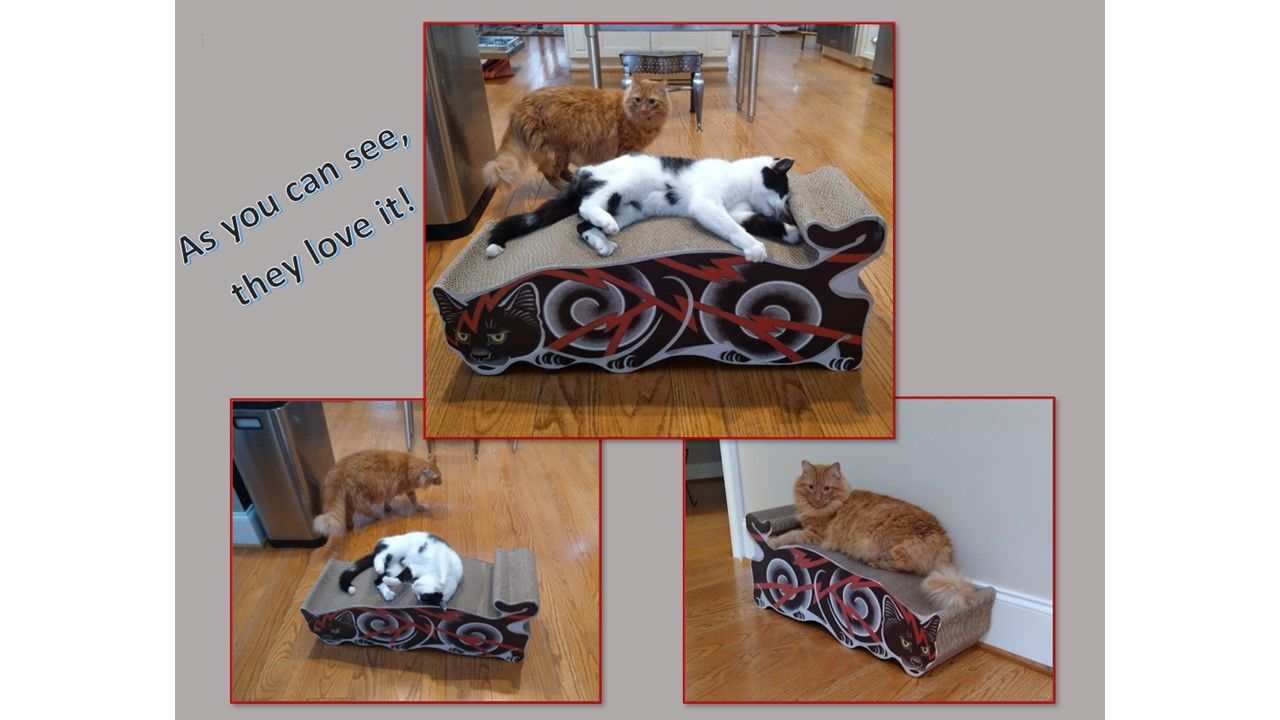 Customer photo review of Electric Cat Scratcher