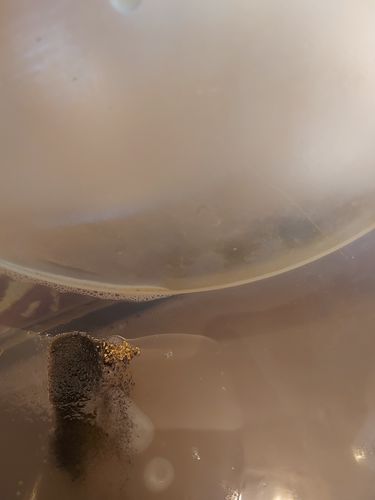 Customer photo review of *New* 2020 NUGGET RESERVE 'CLUNKER' Gold Paydirt Panning Unsearched