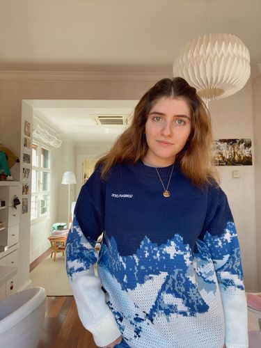 Aelfric Eden Snow Mountain Pattern Sweater