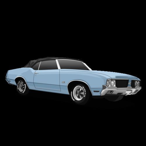 Customer photo review of Custom Car Portrait