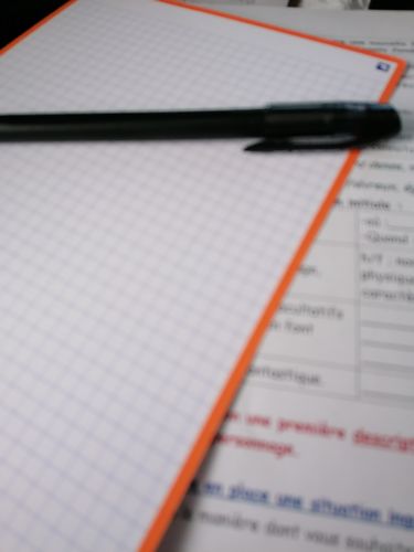 Avis photo d'un client sur Fiches de révision REVISION 2.0 OXFORD # 50 fiches 14,8 x 21 cm - petits carreaux