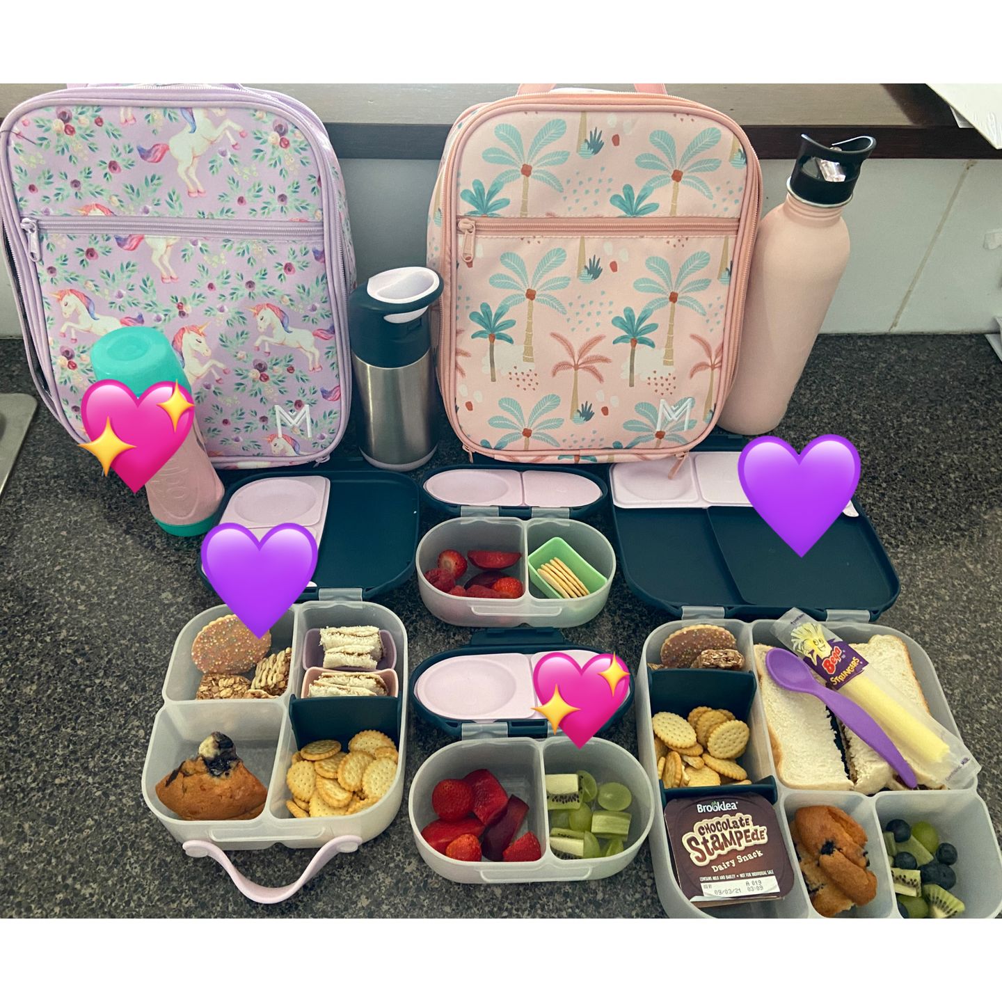 Customer photo review of b.box Mini Lunchbox - Indigo Rose - NEW -PRE-ORDERS OPEN!