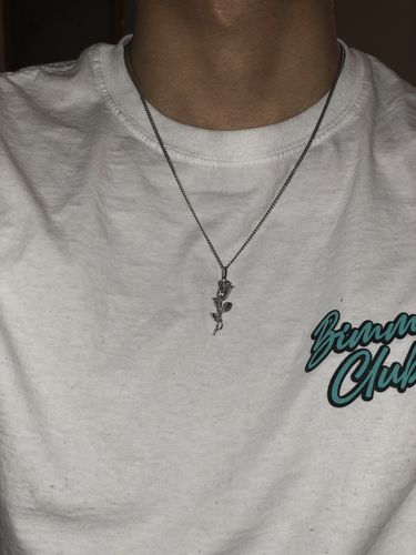 Customer photo review of Rose (Silver)