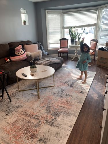 Customer photo review of Abstract Celine Blush Rug