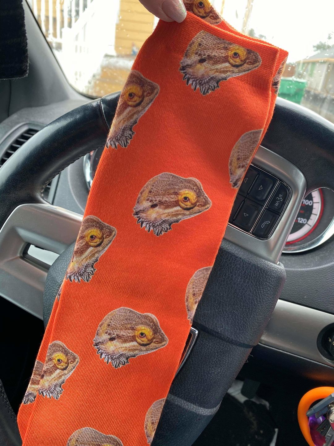 Customer photo review of Custom Pet Art Socks