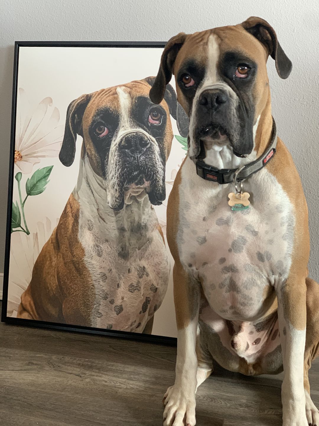 Customer photo review of Pop Chic Modern Framed Canvas