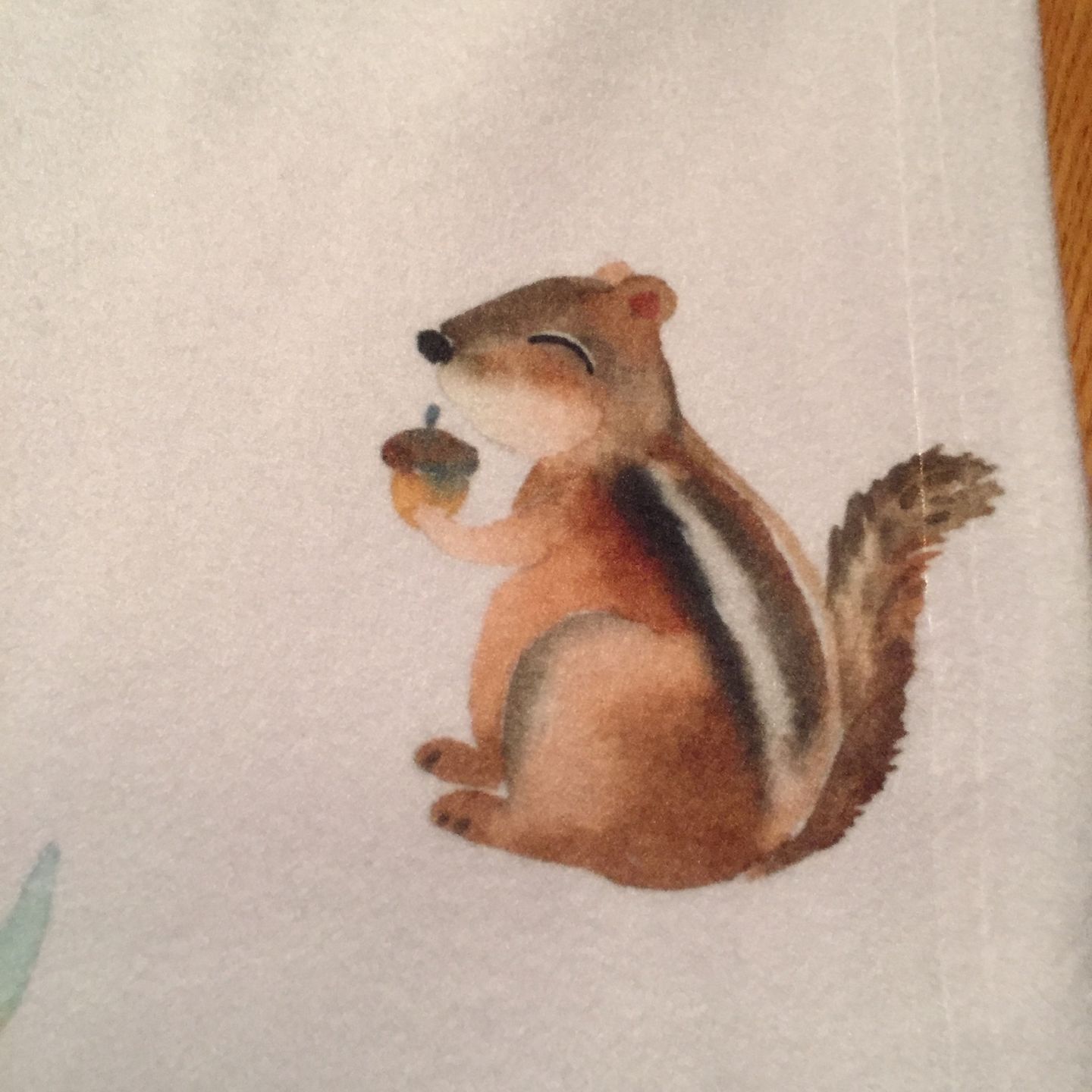 Customer photo review of Woodland Animals Personalized Baby Blanket