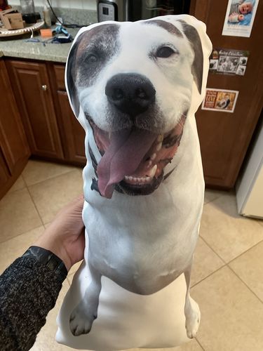 Customer photo review of Create A Custom Dog Pillow