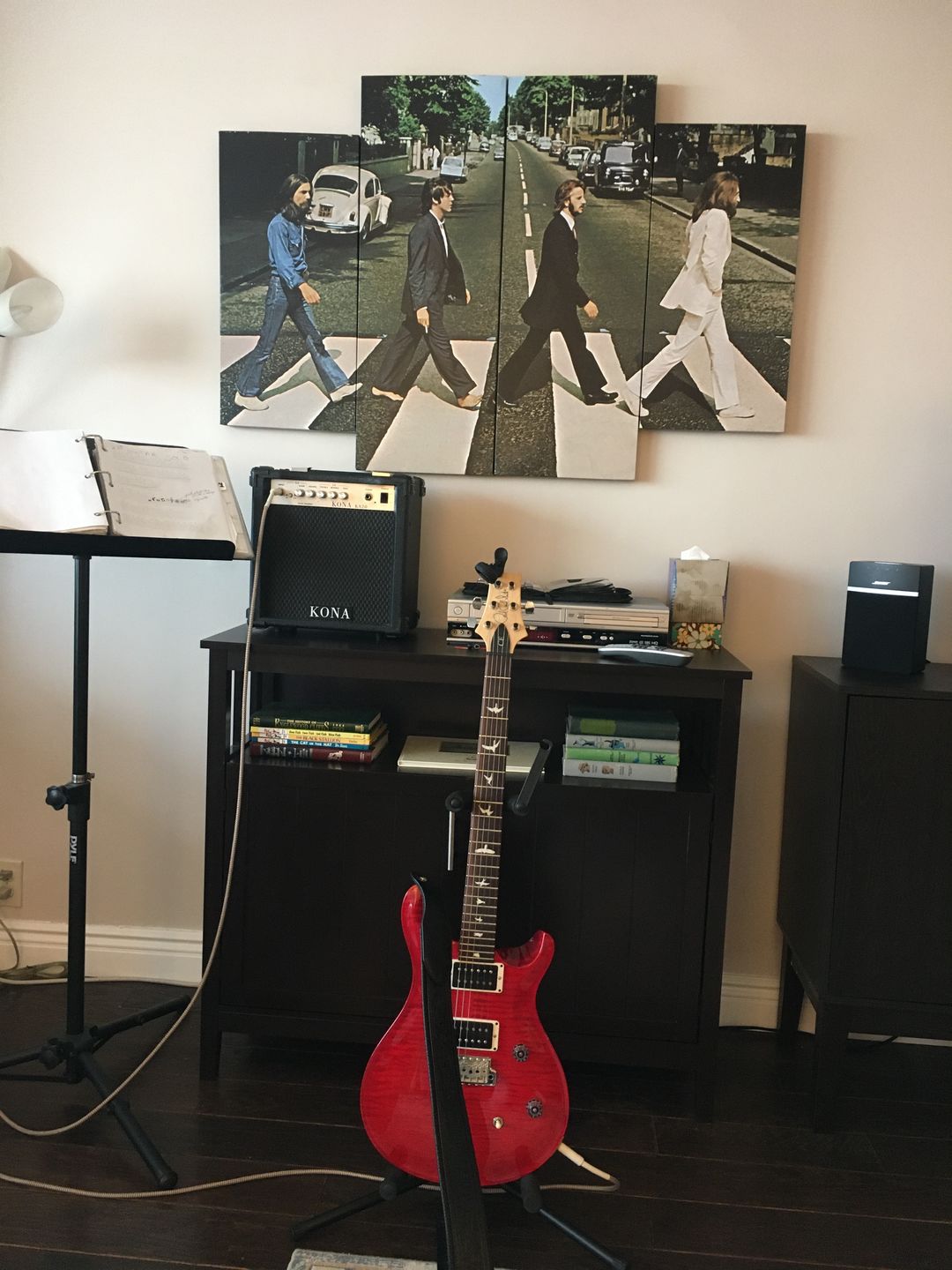 Customer photo review of Abbey Road Wall Art