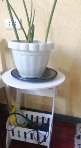 Customer photo review of Aster Bedside Table