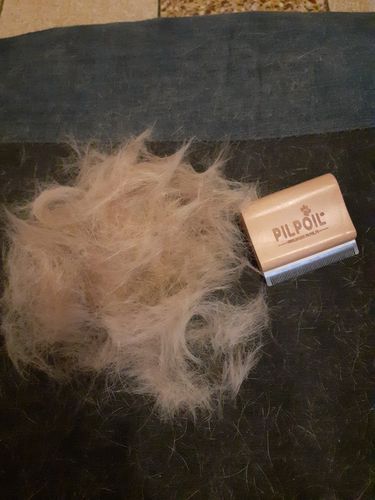 Customer photo review of Brosse Anti-Poils Chien, Chat, Cheval, Lapin | Original | Pilpoil®