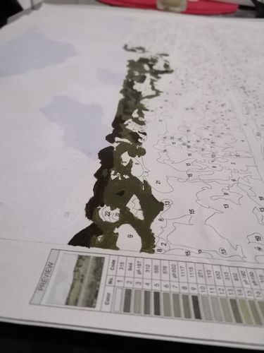 Customer photo review of Pintar por numeros personalizado