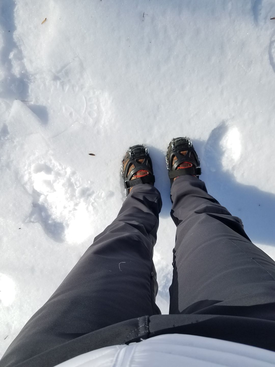 Customer photo review of Sitka  Pant