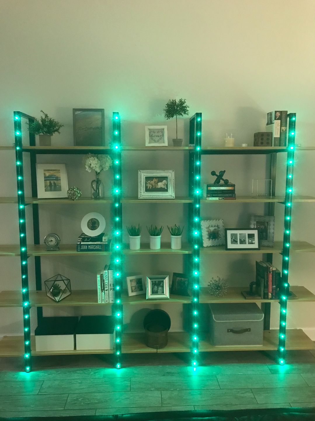 Customer photo review of 7.5 FT | 20 LED Battery Operated Green Fairy String Lights With Silver Wire