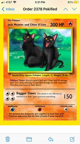 Customer photo review of PokePet Canvas