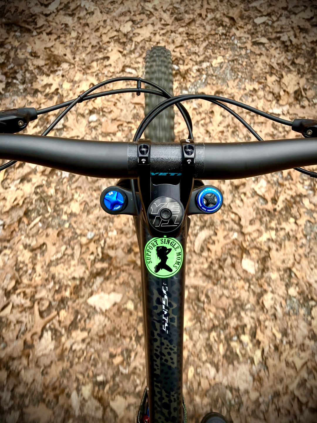 Customer photo review of Cheetah Frame Keeper