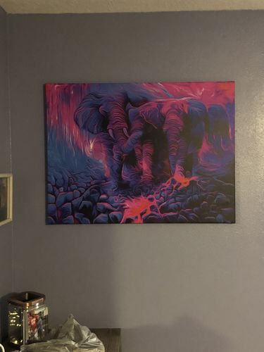 Customer photo review of Exodus Canvas Set