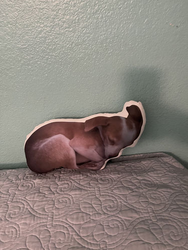 Customer photo review of Create A Custom Dog Pillow