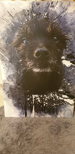 Customer photo review of Graffiti
