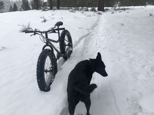 Customer photo review of Wolftrax 26 x 4in 120Tpi Fat Bike Tire