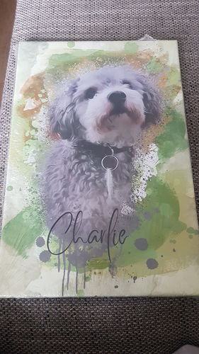 Customer photo review of Aquarell