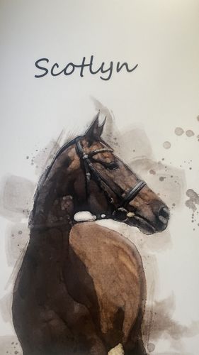 Customer photo review of Individuelles Haustierporträt - Posterdruck